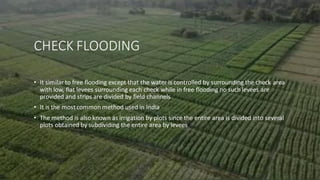 CHECK FLOODING
• It similar to free flooding except that the water is controlled by surrounding the check area
with low, flat levees surrounding each check while in free flooding no such levees are
provided and strips are divided by field channels
• It is the mostcommon method used in India
• The method is also known as irrigation by plots since the entire area is divided into several
plots obtained by subdividing the entire area by levees
 