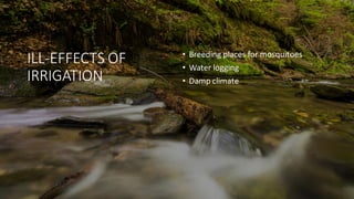 ILL-EFFECTS OF
IRRIGATION
• Breeding places for mosquitoes
• Water logging
• Damp climate
 