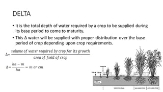 DELTA
• It is the total depth of water required by a crop to be supplied during
its base period to come to maturity.
• This Δ water will be supplied with proper distribution over the base
period of crop depending upon crop requirements.
 