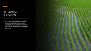 INUNDATION
IRRIGATION
• It is carried out by deep flooding
and thoroughsaturationof the
land to be cultivatedwhich is then
drained off prior to the planting of
the crop
 