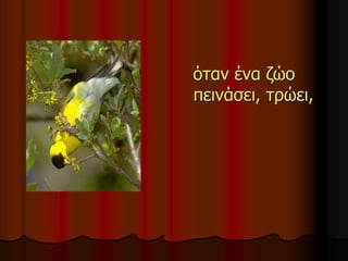 όταν ένα ζώο
πεινάσει, τρώει,
 