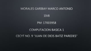 MORALES GARIBAY MARCO ANTONIO 