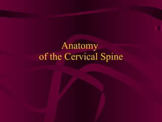 Anatomy  of the Cervical Spine 