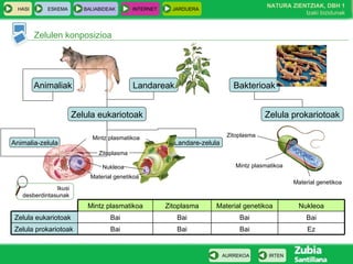 Landare-zelula
Bakterioak
HASI ESKEMA BALIABIDEAK INTERNET JARDUERA
Zelulen konposizioa
IRTENAURREKOA
NATURA ZIENTZIAK, DBH 1
Izaki bizidunak
Animaliak Landareak
Zelula eukariotoak Zelula prokariotoak
EzBaiBaiBaiZelula prokariotoak
BaiBaiBaiBaiZelula eukariotoak
NukleoaMaterial genetikoaZitoplasmaMintz plasmatikoa
Mintz plasmatikoa
Animalia-zelula
Zitoplasma
Material genetikoa
Nukleoa
Zitoplasma
Mintz plasmatikoa
Material genetikoa
Ikusi
desberdintasunak
 