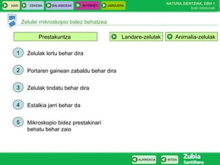 HASI ESKEMA BALIABIDEAK INTERNET JARDUERA
Zelulei mikroskopio bidez behatzea
IRTENAURREKOA
NATURA ZIENTZIAK, DBH 1
Izaki bizidunak
Prestakuntza
1
2
3
4
5
Zelulak lortu behar dira
Portaren gainean zabaldu behar dira
Zelulak tindatu behar dira
Estalkia jarri behar da
Mikroskopio bidez prestakinari
behatu behar zaio
Landare-zelulak Animalia-zelulak
 