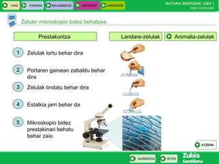 HASI ESKEMA BALIABIDEAK INTERNET JARDUERA
Zelulei mikroskopio bidez behatzea
ATZERA
IRTENAURREKOA
NATURA ZIENTZIAK, DBH 1
Izaki bizidunak
Landare-zelulakPrestakuntza Animalia-zelulak
1 Zelulak lortu behar dira
4 Estalkia jarri behar da
2 Portaren gainean zabaldu behar
dira
3 Zelulak tindatu behar dira
5 Mikroskopio bidez
prestakinari behatu
behar zaio
 