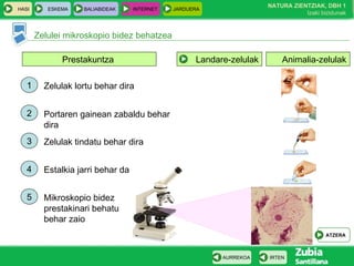 HASI ESKEMA BALIABIDEAK INTERNET JARDUERA
Zelulei mikroskopio bidez behatzea
IRTENAURREKOA
NATURA ZIENTZIAK, DBH 1
Izaki bizidunak
Animalia-zelulakPrestakuntza Landare-zelulak
4 Estalkia jarri behar da
3 Zelulak tindatu behar dira
2 Portaren gainean zabaldu behar
dira
1 Zelulak lortu behar dira
5 Mikroskopio bidez
prestakinari behatu
behar zaio
ATZERA
 