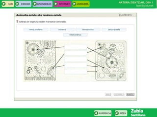 HASI ESKEMA BALIABIDEAK INTERNET JARDUERA
IRTENAURREKOA
NATURA ZIENTZIAK, DBH 1
Izaki bizidunak
 