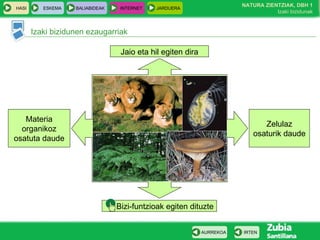 Izaki bizidunen ezaugarriak
HASI ESKEMA BALIABIDEAK INTERNET JARDUERA
IRTENAURREKOA
NATURA ZIENTZIAK, DBH 1
Izaki bizidunak
Jaio eta hil egiten dira
Materia
organikoz
osatuta daude
Zelulaz
osaturik daude
Bizi-funtzioak egiten dituzte
 