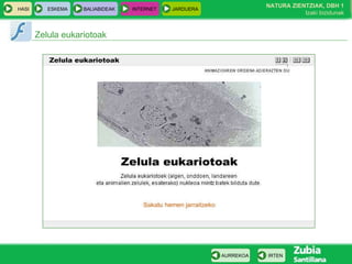 Zelula eukariotoak
HASI ESKEMA BALIABIDEAK INTERNET JARDUERA
IRTENAURREKOA
NATURA ZIENTZIAK, DBH 1
Izaki bizidunak
 