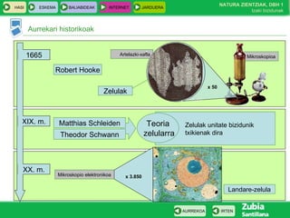 Artelazki-xafla Mikroskopioa
HASI ESKEMA BALIABIDEAK INTERNET JARDUERA
Aurrekari historikoak
IRTENAURREKOA
NATURA ZIENTZIAK, DBH 1
Izaki bizidunak
1665
Robert Hooke
x 50
Zelulak
XIX. m.
XX. m.
Theodor Schwann
Matthias Schleiden Zelulak unitate bizidunik
txikienak dira
Teoria
zelularra
Mikroskopio elektronikoa
Landare-zelula
x 3.850
 