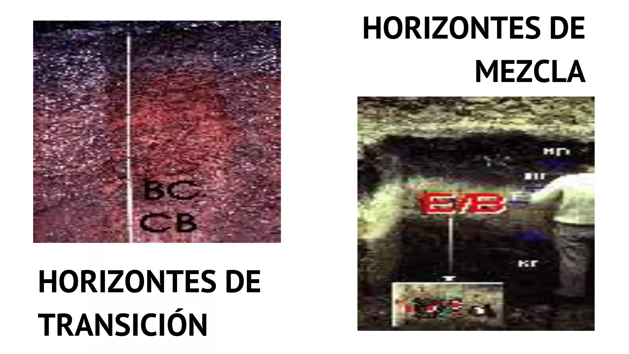 Nomenclatura para los horizontes del suelo | PPTX