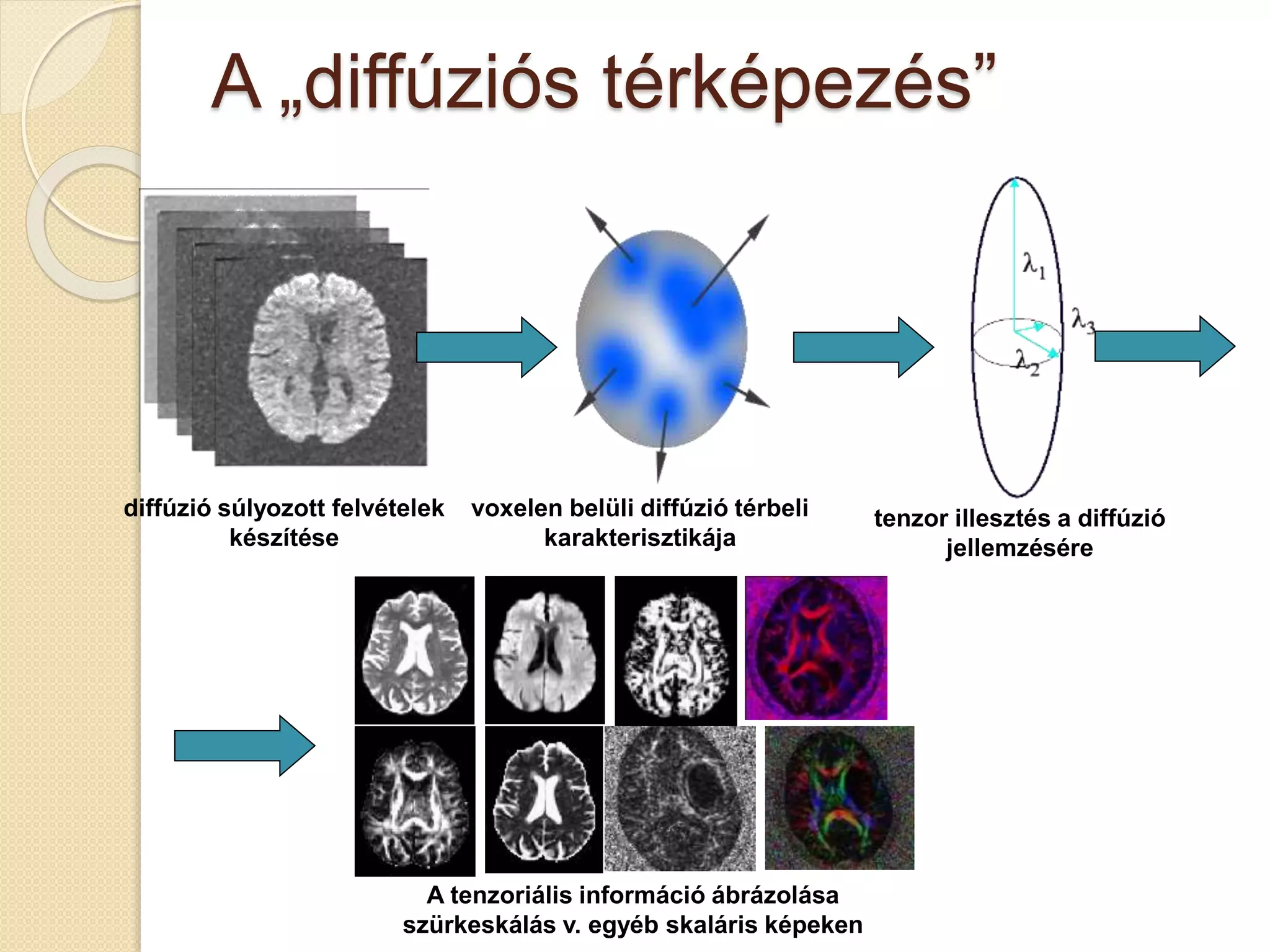 A „diffúziós térképezés”
diffúzió súlyozott felvételek
készítése
voxelen belüli diffúzió térbeli
karakterisztikája
tenzor illesztés a diffúzió
jellemzésére
A tenzoriális információ ábrázolása
szürkeskálás v. egyéb skaláris képeken
 