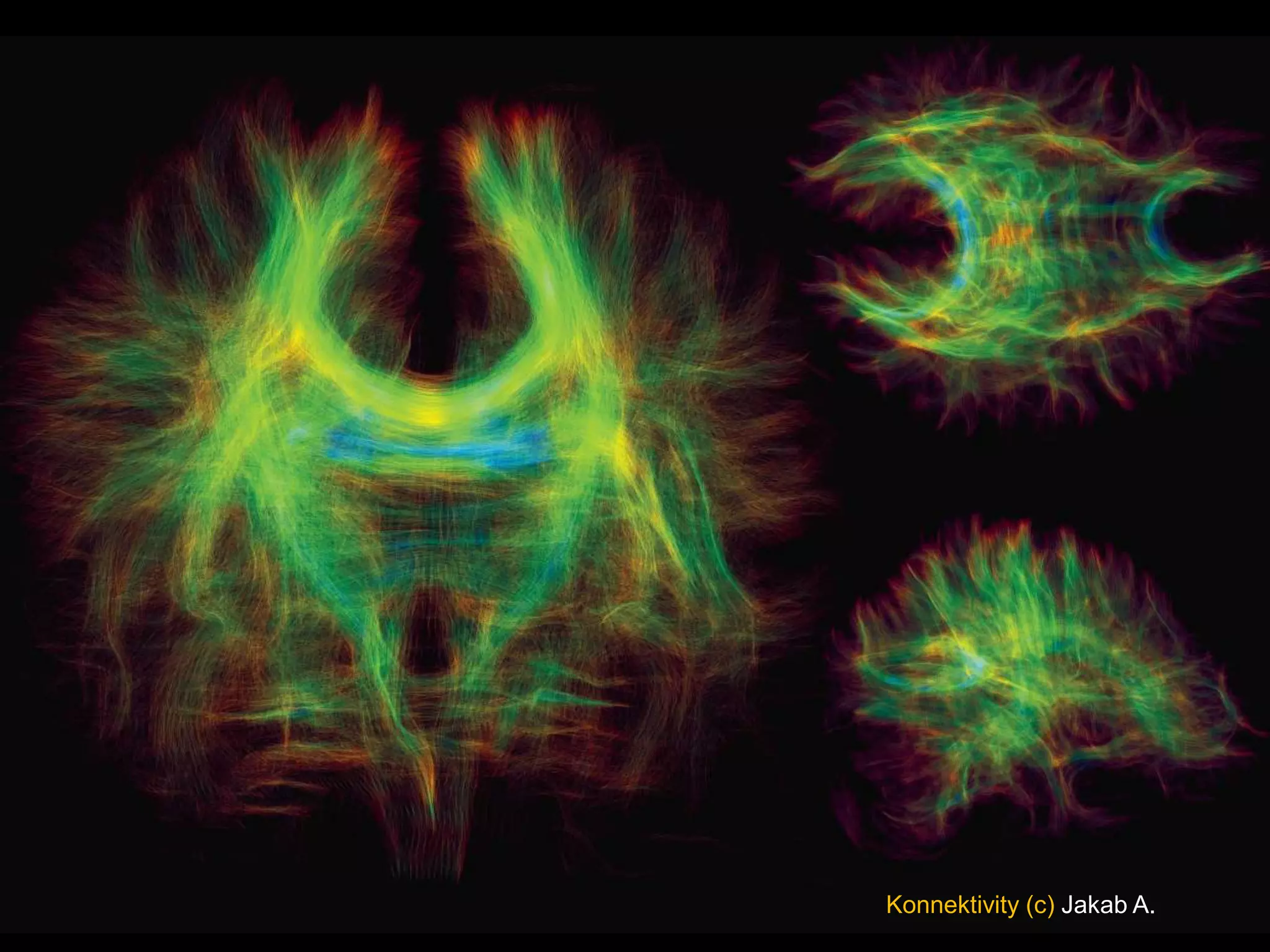 Konnektivity (c) Jakab A.
 