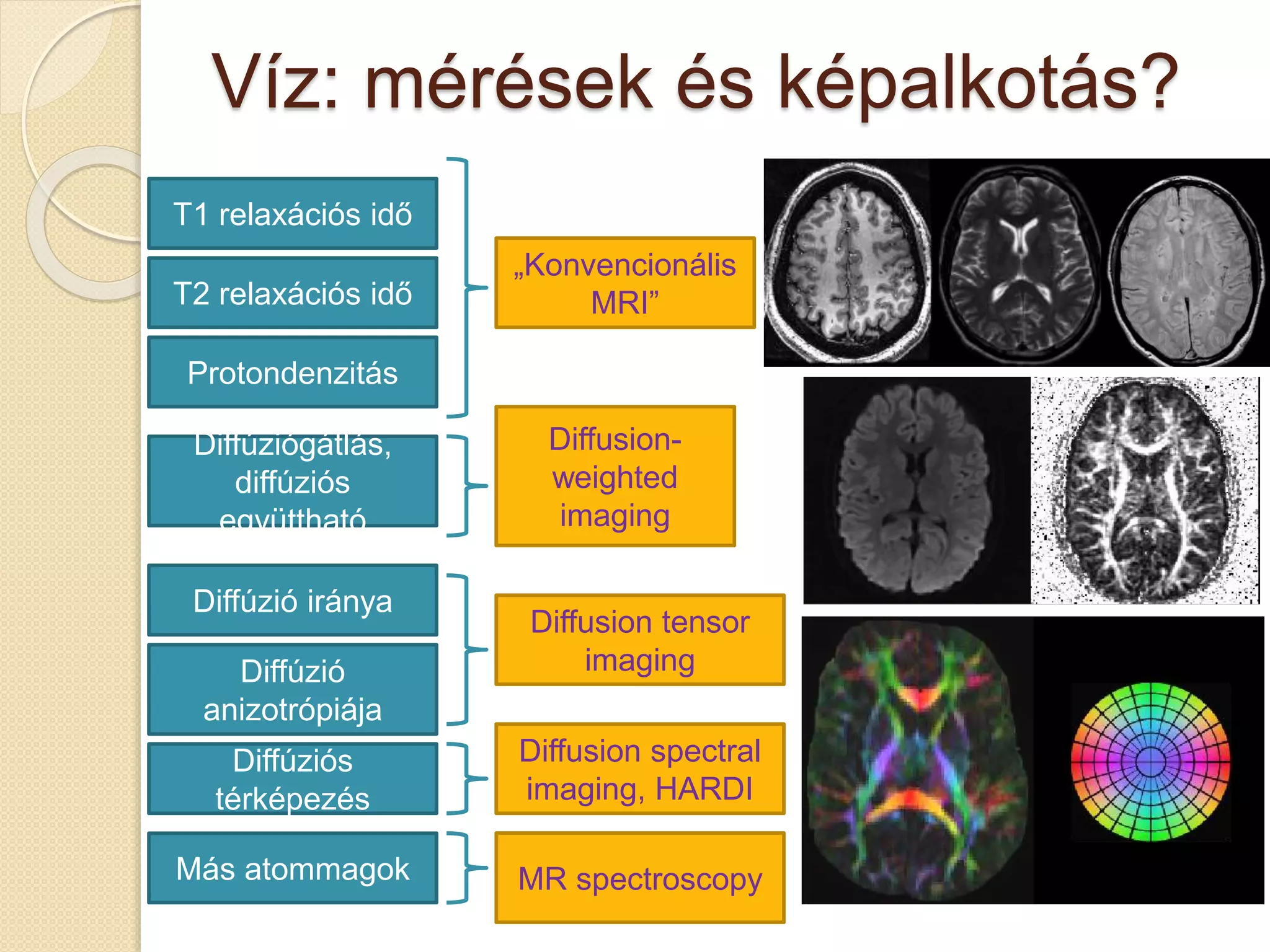 Víz: mérések és képalkotás?
T1 relaxációs idő
T2 relaxációs idő
Protondenzitás
Diffúziógátlás,
diffúziós
együttható
Diffúzió iránya
Diffúzió
anizotrópiája
Diffúziós
térképezés
Más atommagok
„Konvencionális
MRI”
Diffusion-
weighted
imaging
Diffusion tensor
imaging
Diffusion spectral
imaging, HARDI
MR spectroscopy
 