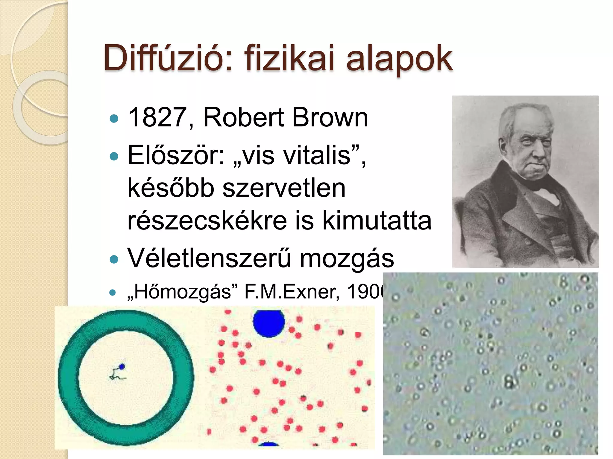 Diffúzió: fizikai alapok
 1827, Robert Brown
 Először: „vis vitalis”,
később szervetlen
részecskékre is kimutatta
 Véletlenszerű mozgás
 „Hőmozgás” F.M.Exner, 1900
 