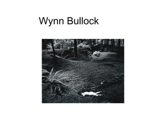 Wynn Bullock 
