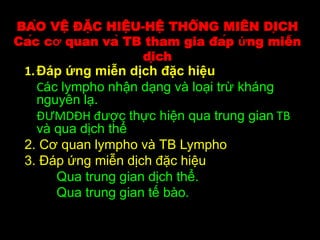 BẢO VỆ ĐẶC HIỆU-HỆ THỐNG MIỄN DỊCH
Các cơ quan và TB tham gia đáp ứng miễn
dịch
1.Đáp ứng miễn dịch đặc hiệu
Các lympho nhận dạng và loại trừ kháng
nguyên lạ.
ĐƯMDĐH được thực hiện qua trung gian TB
và qua dịch thể
2. Cơ quan lympho và TB Lympho
3. Đáp ứng miễn dịch đặc hiệu
Qua trung gian dịch thể.
Qua trung gian tế bào.
 