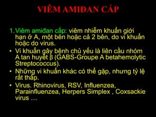 VIÊM AMIĐAN CẤP
1.Viêm amiđan cấp: viêm nhiễm khuẩn giới
hạn ở A, một bên hoặc cả 2 bên, do vi khuẩn
hoặc do virus.
• Vi khuẩn gây bệnh chủ yếu là liên cầu nhóm
A tan huyết β (GABS-Groupe A betahemolytic
Streptococcus).
• Những vi khuẩn khác có thể gặp, nhưng tỷ lệ
rất thấp.
• Virus. Rhinovirus, RSV, Influenzea,
Parainfluenzea, Herpers Simplex , Coxsackie
virus …
 
