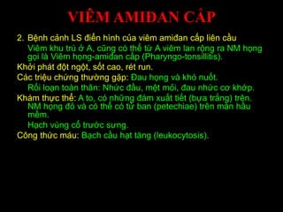 VIÊM AMIĐAN CẤP
2. Bệnh cảnh LS điển hình của viêm amiđan cấp liên cầu
Viêm khu trú ở A, cũng có thể từ A viêm lan rộng ra NM họng
gọi là Viêm họng-amiđan cấp (Pharyngo-tonsillitis).
Khởi phát đột ngột, sốt cao, rét run.
Các triệu chứng thường gặp: Đau họng và khó nuốt.
Rối loạn toàn thân: Nhức đầu, mệt mỏi, đau nhức cơ khớp.
Khám thực thể: A to, có những đám xuất tiết (bựa trắng) trên.
NM họng đỏ và có thể có tử ban (petechiae) trên màn hầu
mềm.
Hạch vùng cổ trước sưng.
Công thức máu: Bạch cầu hạt tăng (leukocytosis).
 