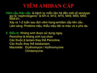VIÊM AMIĐAN CẤP
Viêm cầu thận cấp, là bệnh tự miễn liên hệ đến một số serotype
gọi là “nephrotogenic” là M1-4, M12, M15, M49, M55, M50,
M59-61.
Xảy ra 1-2 tuần sau đợt viêm họng-amiđan cấp liên cầu .
Lâm sàng: Protéine niệu, thiểu niệu đái ra máu và ± phù da.
5. Điều trị: Kháng sinh được sử dụng ngay.
Peniciline là kháng sinh lựa chọn
Các thuốc β lactam thay thế Peniciline.
Các thuốc thay thế betalactam.
Macrolide: Erythromycin / Azithromycine
Clindamycine
 