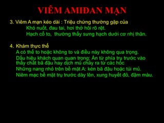 VIÊM AMIĐAN MẠN
3. Viêm A mạn kéo dài : Triệu chứng thường gặp của
Khó nuốt, đau tai, hơi thở hôi rõ rệt.
Hạch cổ to, thường thấy sưng hạch dưới cơ nhị thân.
4. Khám thực thể
A có thể to hoặc không to và điều này không qua trọng.
Dấu hiệu khách quan quan trọng: Ấn từ phía trụ trước vào
thấy chất bã đậu hay dịch mủ chảy ra từ các hốc
Những nang nhỏ trên bề mặt A: kén bã đậu hoặc túi mủ.
Niêm mạc bề mặt trụ trước dày lên, xung huyết đỏ, đậm màu.
 