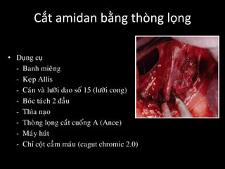 Cắt amidan bằng thòng lọng
• Duïng cuï
- Banh mieâng
- Keïp Allis
- Caùn vaø löôõi dao soá 15 (löôõi cong)
- Boùc taùch 2 ñaàu
- Thìa naïo
- Thoøng loïng caét cuoáng A (Ance)
- Maùy huùt
- Chæ coät caàm maùu (cagut chromic 2.0)
 
