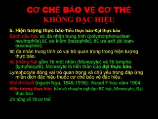 CƠ CHẾ BẢO VỆ CƠ THỂ
KHÔNG ĐẶC HIỆU
b. Hiện tượng thực bào-Tiểu thực bào-Đại thực bào
Bạch cầu hạt: BC đa nhân trung tính (polymorphonuclear
neutrophile),BC ưa kiềm (basophile), BC ưa axít (ái toan-
eosinophile).
BC đa nhân trung tính có vai trò quan trọng trong hiện tượng
thực bào.
BC không hạt gồm TB một nhân (Monocyte) và TB lympho
(lymphocyte). Monocyte là tiền thân của đại thực bào.
Lymphocyte đóng vai trò quan trọng và chủ yếu trong đáp ứng
miễn dịch đặc hiệu thuộc cơ chế bảo vệ đặc hiệu.
Metchnikoff (người Nga, 1845-1916): Nobel Y học năm 1904.
Hiện tượng thực bào bảo vệ chuyên nghiệp: BC hạt, Monocyte, Đại
thực bào
2% tổng số TB cơ thể.
 