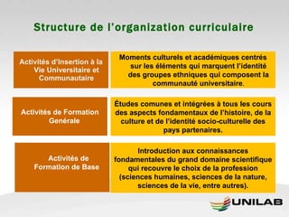 Structure de l’organization curriculaire Activités d’Insertion à la Vie Universitaire et Communautaire Moments culturels et académiques centrés sur les éléments qui marquent l’identité des groupes ethniques qui composent la communauté universitaire . Activités de Formation Genérale  Études comunes et intégrées à tous les cours des aspects fondamentaux de l’histoire, de la culture et de l’identité socio-culturelle des pays partenaires.   Activités de Formation de Base  Introduction aux connaissances fondamentales du grand domaine scientifique qui recouvre le choix de la profession (sciences humaines, sciences de la nature, sciences de la vie, entre autres). 