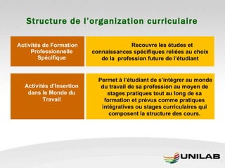 Structure de l’organization curriculaire Activités de Formation Professionnelle Spécifique   Recouvre les études et connaissances spécifiques reliées au choix de la  profession future de l’étudiant Activités d’Insertion dans le Monde du Travail   Permet à l’étudiant de s’intégrer au monde du travail de sa profession au moyen de stages pratiques tout au long de sa formation et prévus comme pratiques intégratives ou stages curriculaires qui composent la structure des cours. 