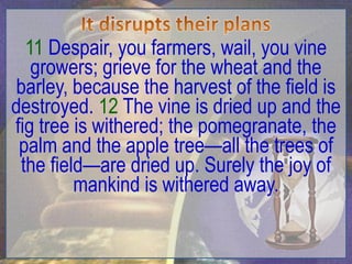 11 Despair, you farmers, wail, you vine
   growers; grieve for the wheat and the
 barley, because the harvest of the field is
destroyed. 12 The vine is dried up and the
fig tree is withered; the pomegranate, the
 palm and the apple tree—all the trees of
 the field—are dried up. Surely the joy of
         mankind is withered away.
 