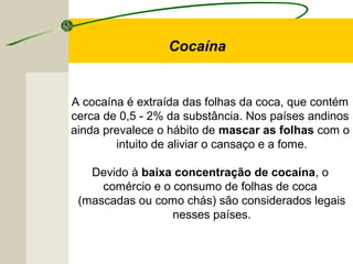 Cocaína
A cocaína é extraída das folhas da coca, que contém
cerca de 0,5 - 2% da substância. Nos países andinos
ainda prevalece o hábito de mascar as folhas com o
intuito de aliviar o cansaço e a fome.
Devido à baixa concentração de cocaína, o
comércio e o consumo de folhas de coca
(mascadas ou como chás) são considerados legais
nesses países.
 