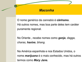 O nome genérico da cannabis é cânhamo.
Há outros nomes, mas boa parte deles tem caráter
puramente regional.
No Oriente , recebe nomes como ganja, dagga,
charas, haxixe, bhang.
Na América espanhola e nos Estados Unidos, o
nome marijuana é o mais conhecido, mas há outros
termos como Mary Jane.
Maconha
 