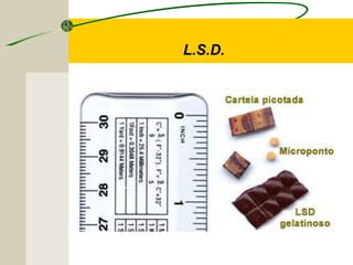 L.S.D.
 