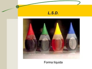 L.S.D.
Forma líquida
 