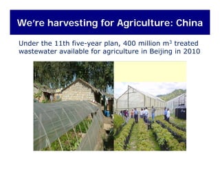We’re harvesting for Agriculture: China
Under the 11th five-year plan, 400 million m3 treated
wastewater available for agriculture in Beijing in 2010wastewater available for agriculture in Beijing in 2010
 