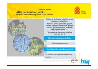 š
Pelējuma sēnītes
Attīstīšanās nosacījumi –
Pelējuma sēnītēm nevajag daudz, lai tās vairotos
P lēj ē īt ttī tīti ļ tiP lēj ē īt ttī tīti ļ tiPelējuma sēnītes var attīstīties uz ļoti
daudziem materiāliem:
Koksnes, skaidu plāksnēm, papīra,
kartona, tapetēm, plastmasas, gumijas,
Pelējuma sēnītes var attīstīties uz ļoti
daudziem materiāliem:
Koksnes, skaidu plāksnēm, papīra,
kartona, tapetēm, plastmasas, gumijas,
silikona, grīdas paklājiem, mākslīgo
sveķu apmetumiem, u.t.t.
Temperatūras diapazons attīstībai
no 0 līdz 60° C
silikona, grīdas paklājiem, mākslīgo
sveķu apmetumiem, u.t.t.
Temperatūras diapazons attīstībai
no 0 līdz 60° Cno 0 līdz 60 C.no 0 līdz 60 C.
Mitrums ir pamatnosacījumsMitrums ir pamatnosacījums
Pelējums aug arī tumsā!Pelējums aug arī tumsā!
Īpaši labvēlīgi attīstības apstākļi:Īpaši labvēlīgi attīstības apstākļi:p g p ļp g p ļ
uz virsmām, veidojoties kondensācijas
ūdenim
uz virsmām, veidojoties kondensācijas
ūdenim
Teksta izvilkums: UBA „Schimmelpilzsanierungs-Leitfaden“ 2005
 