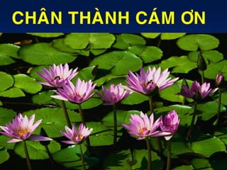 CHAÂN THAØNH CAÙM ÔN
 