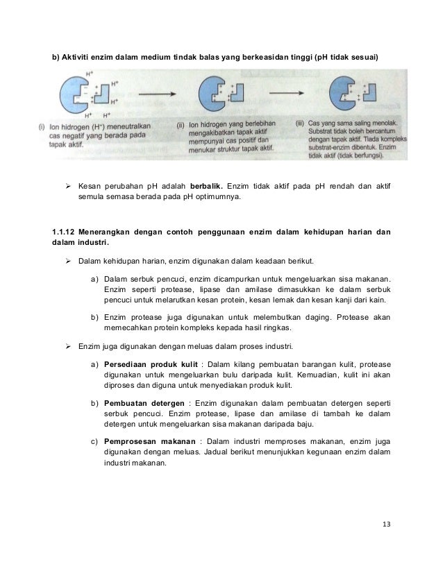Kertas Penerangan Sains Am 3 Modul 1 Biocatalisis