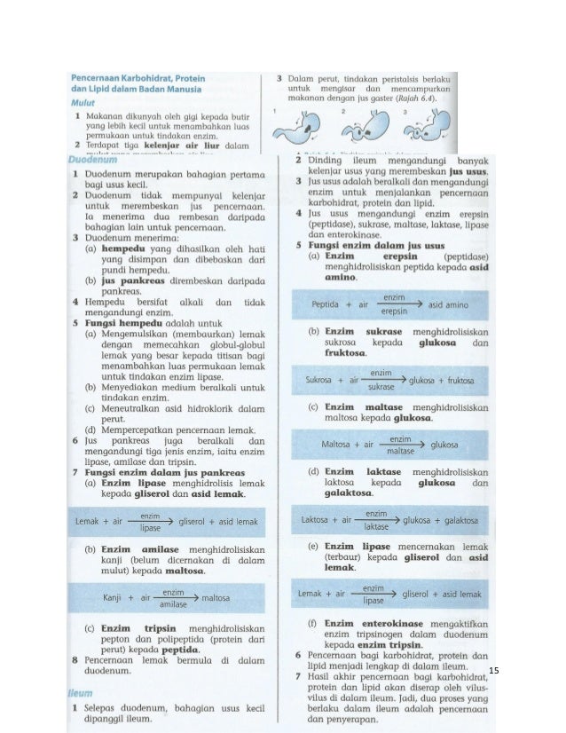Kertas Penerangan Sains Am 3 Modul 1 Biocatalisis
