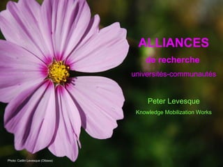ALLIANCES de recherche   universités-communautés Peter Levesque Knowledge Mobilization Works Photo: Caitlin Levesque (Ottawa) 