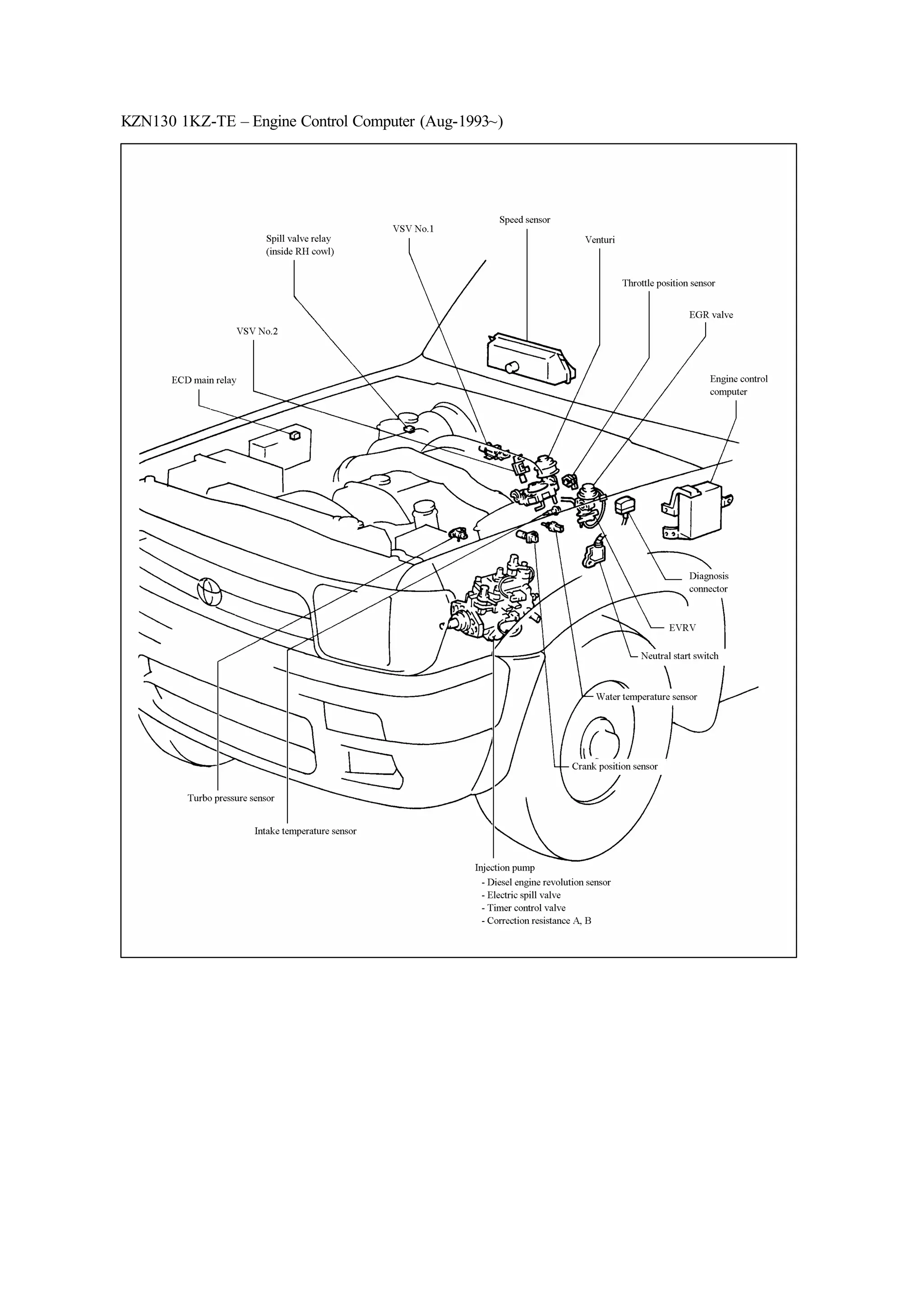 Гей түкті ерлер түкті гей еркектерді