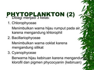 PHYTOPLANKTON (2) 
 Dibagi menjadi 3 kelas: 
1. Chlorophyceae 
Menimbulkan warna hijau rumput pada air, 
karena mengandun...