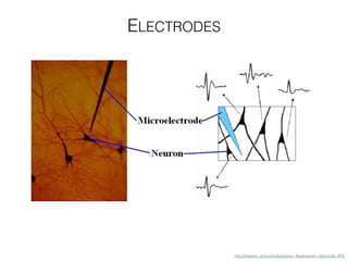 http://newton.umsl.edu/tsytsarev_ﬁles/neuron_electrode.JPG
ELECTRODES
 