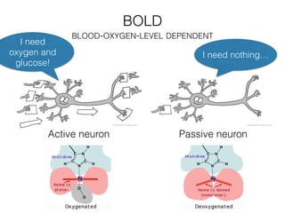 BOLD
BLOOD-OXYGEN-LEVEL DEPENDENT
Active neuron Passive neuron
I need
oxygen and
glucose!
I need nothing…
 