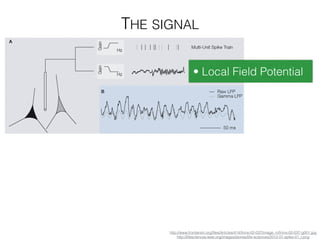 THE SIGNAL
• Local Field Potential
http://www.frontiersin.org/ﬁles/Articles/414/fnins-02-037/image_m/fnins-02-037-g001.jpg
http://lifesciences.ieee.org/images/stories/life-sciences/2012-01-spike-01_l.png
 