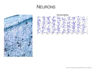 NEURONS
http://en.wikipedia.org/wiki/Neural_oscillation
 