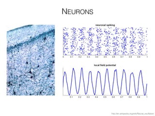 NEURONS
http://en.wikipedia.org/wiki/Neural_oscillation
 