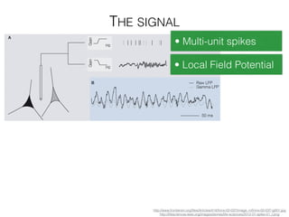 THE SIGNAL
• Multi-unit spikes
• Local Field Potential
http://www.frontiersin.org/ﬁles/Articles/414/fnins-02-037/image_m/fnins-02-037-g001.jpg
http://lifesciences.ieee.org/images/stories/life-sciences/2012-01-spike-01_l.png
 