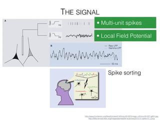 THE SIGNAL
• Multi-unit spikes
• Local Field Potential
Spike sorting
http://www.frontiersin.org/ﬁles/Articles/414/fnins-02-037/image_m/fnins-02-037-g001.jpg
http://lifesciences.ieee.org/images/stories/life-sciences/2012-01-spike-01_l.png
 